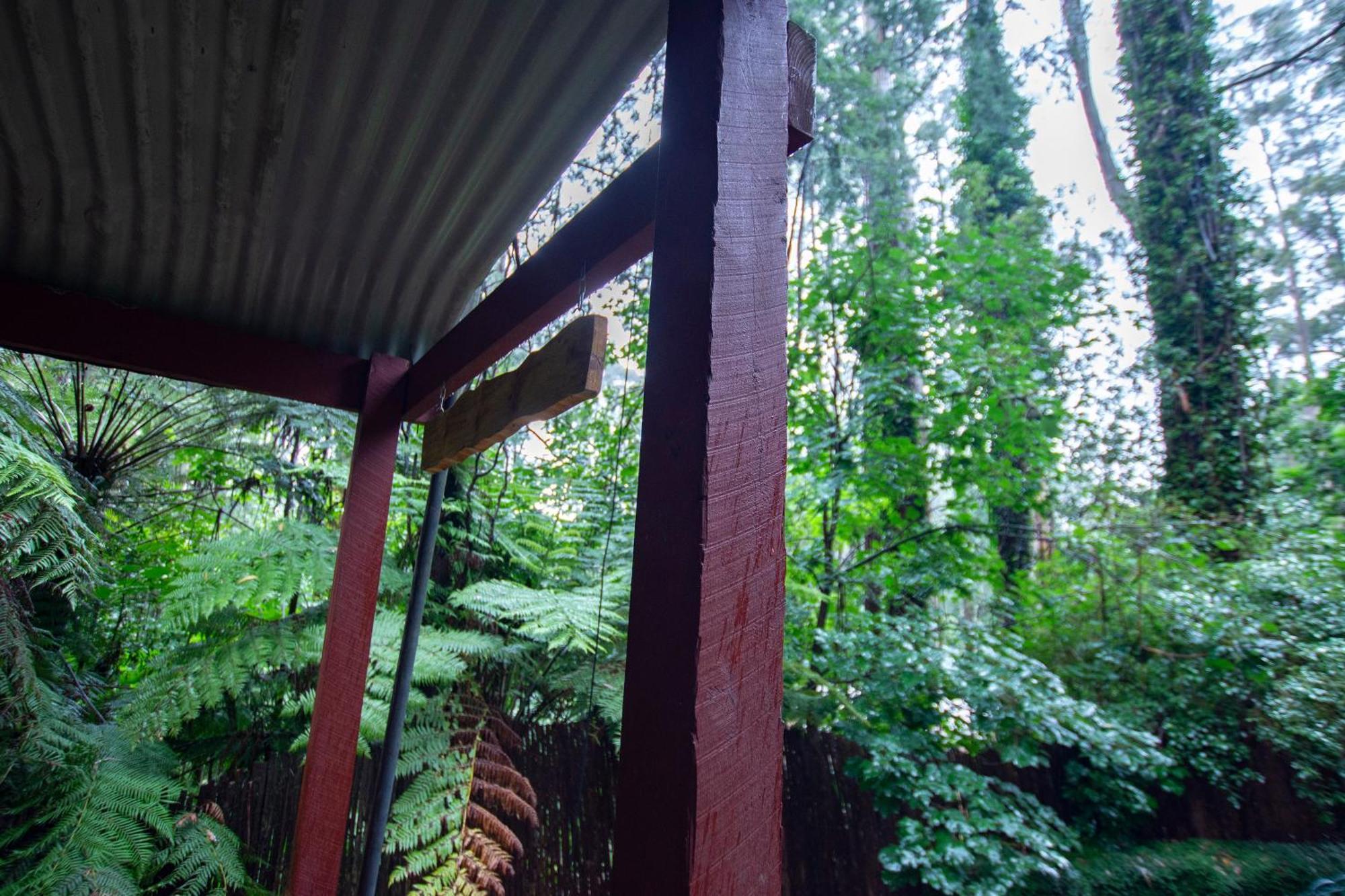 מאונט דנדנונג The Fernglen Forest Retreat מראה חיצוני תמונה
