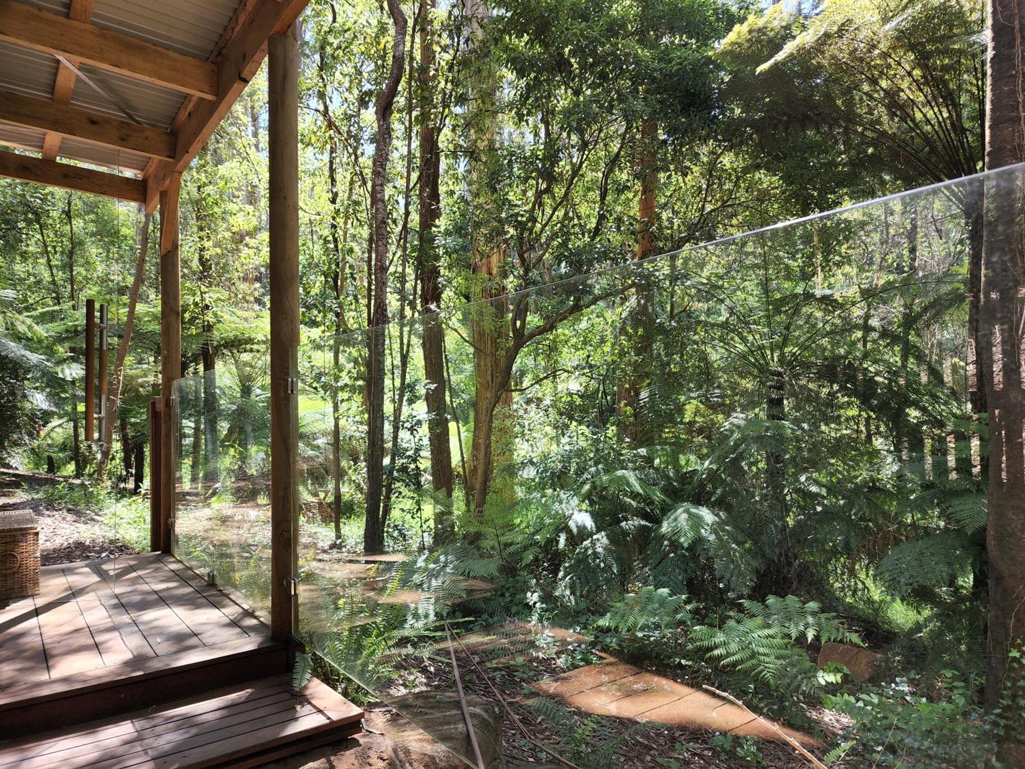 מאונט דנדנונג The Fernglen Forest Retreat מראה חיצוני תמונה
