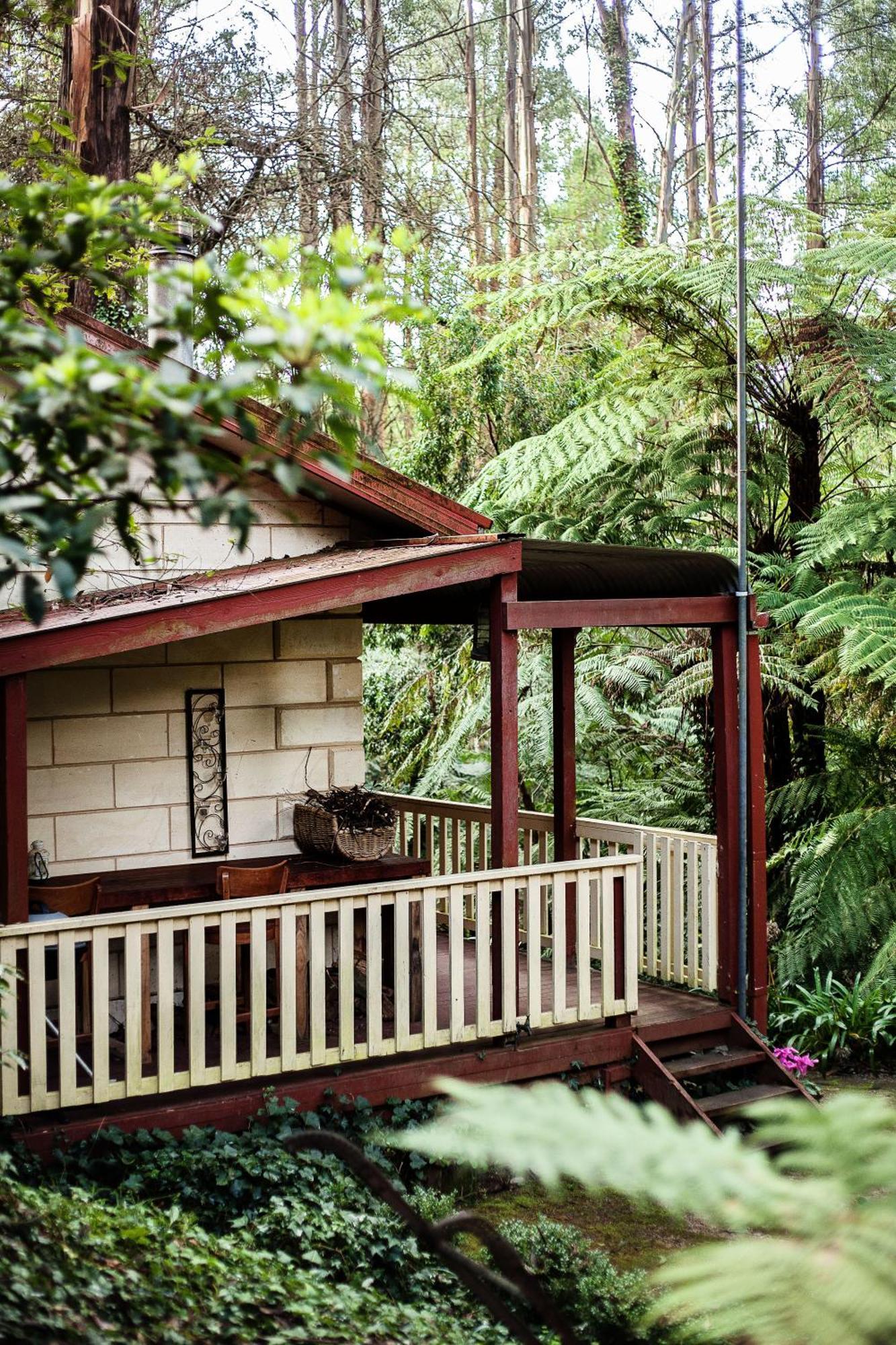 מאונט דנדנונג The Fernglen Forest Retreat מראה חיצוני תמונה