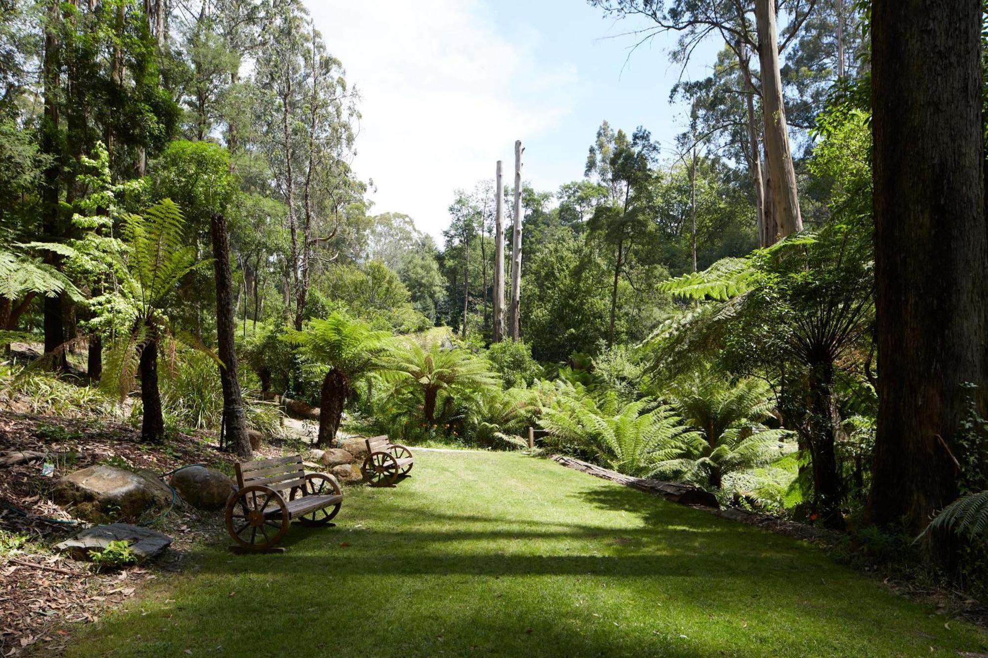 מאונט דנדנונג The Fernglen Forest Retreat מראה חיצוני תמונה