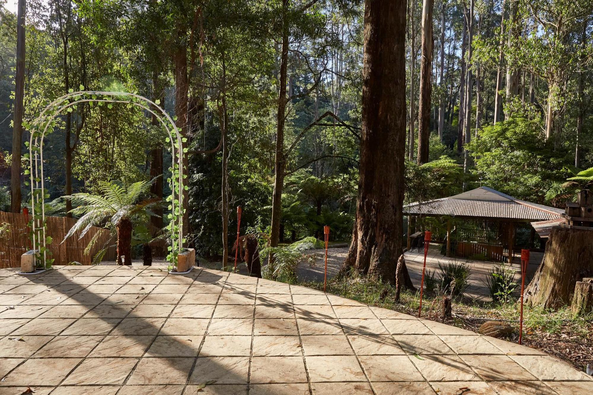 מאונט דנדנונג The Fernglen Forest Retreat מראה חיצוני תמונה